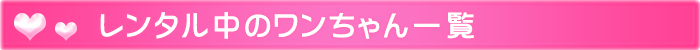 ワン泊サービスについて